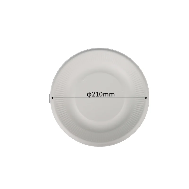 20.3 cm Cake Tray · Sugarcane Plates · product image